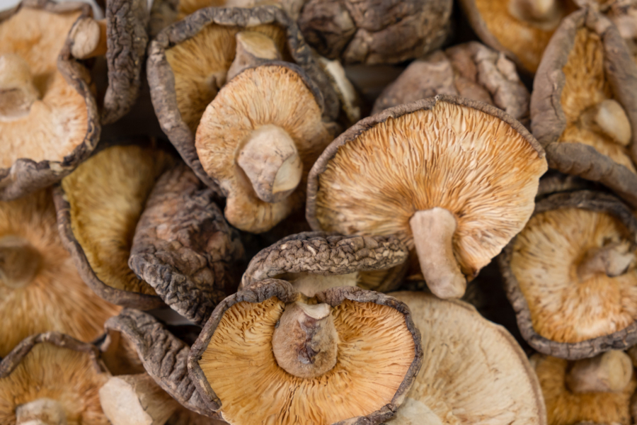 abeiro da loba shiitake mushrooms