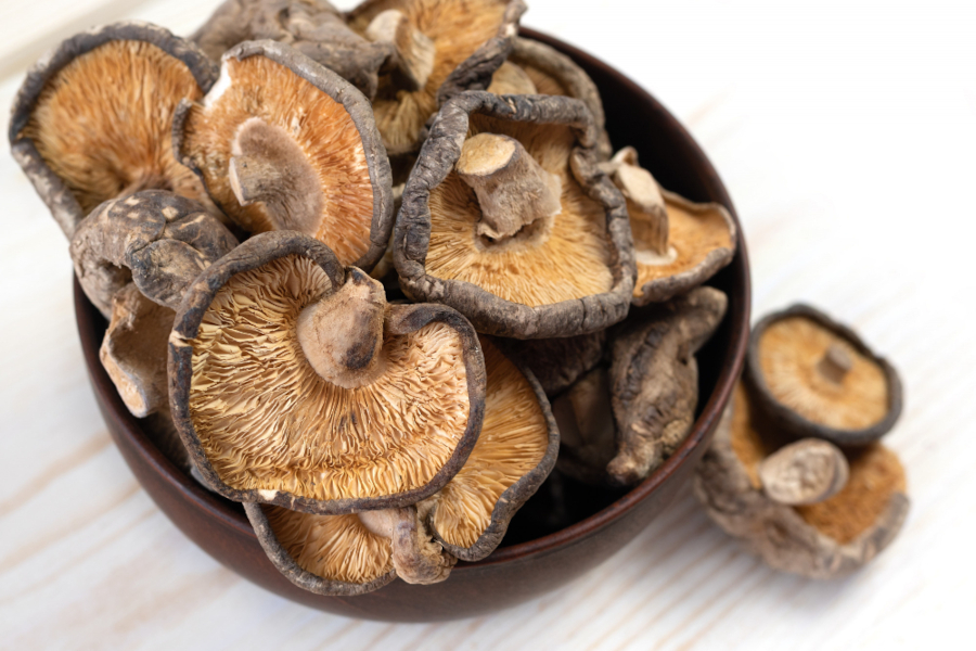 shiitake mushrooms abeiro da loba
