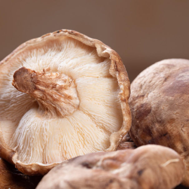 Shiitake mushrooms - Properties and how to cook them